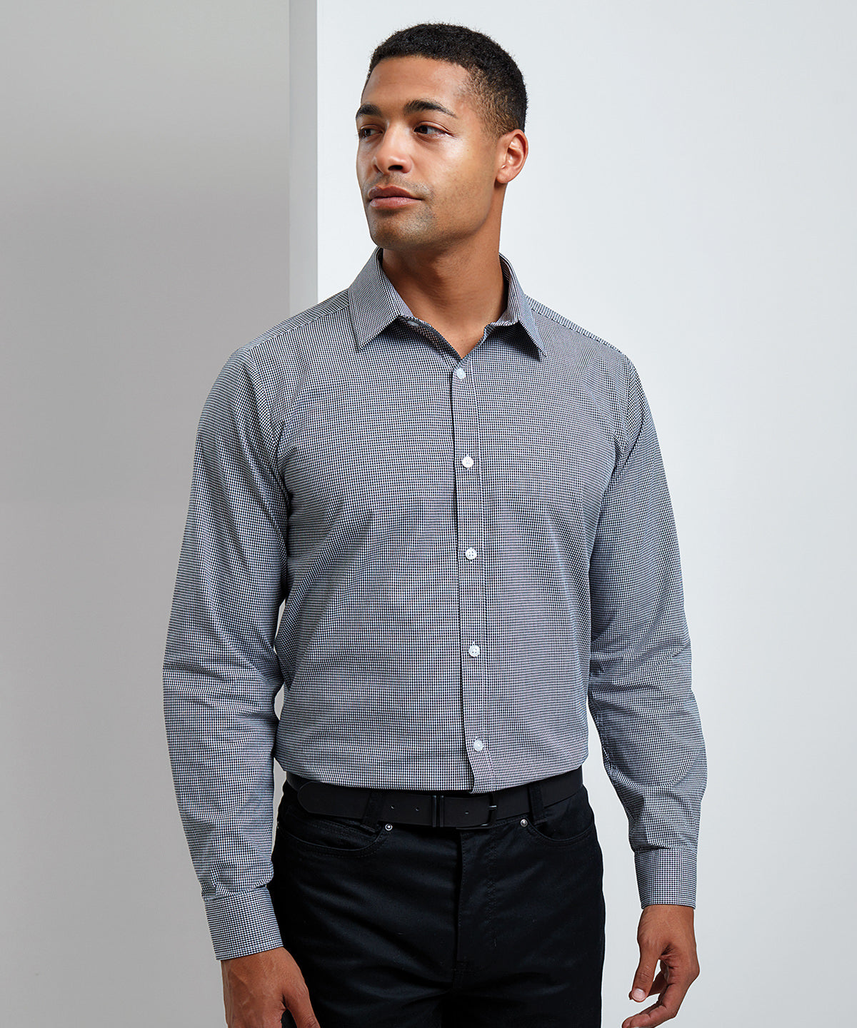 Premier - Microcheck (Gingham) long sleeve cotton shirt - PR220