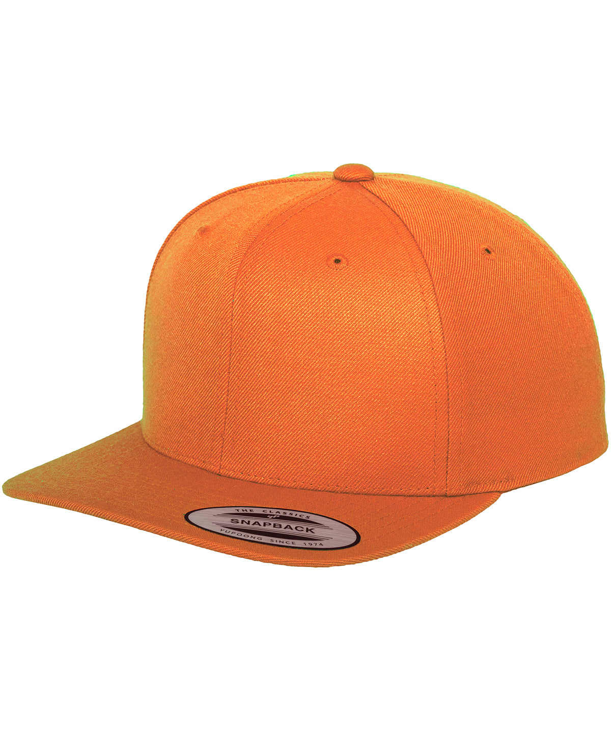 Flexfit by Yupoong - The classic snapback (6089M) - YP001